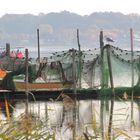 Morgenstimmung bei den Holmer Fischern