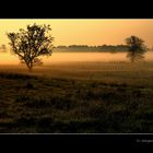 ..morgenstimmung bei fußberg, maisach..