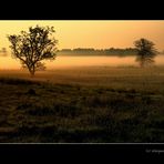 ..morgenstimmung bei fußberg, maisach..