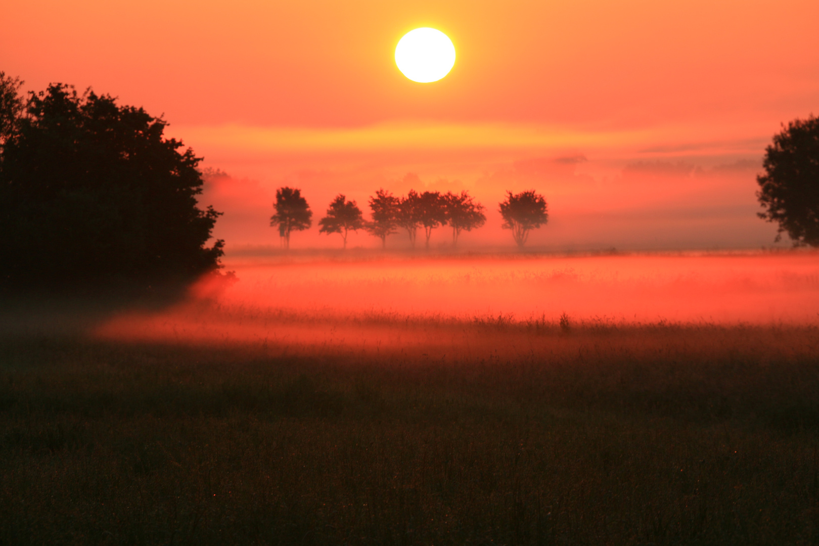 Morgenstimmung bei mir fast vor der Haustüre