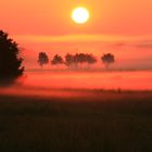 Morgenstimmung bei mir fast vor der Haustüre