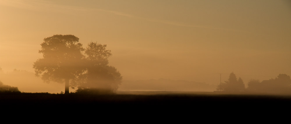 Morgenstimmung bei Moers (NRW)