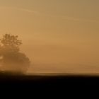 Morgenstimmung bei Moers (NRW)