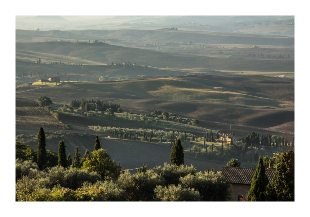 Morgenstimmung bei Pienza