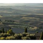 Morgenstimmung bei Pienza