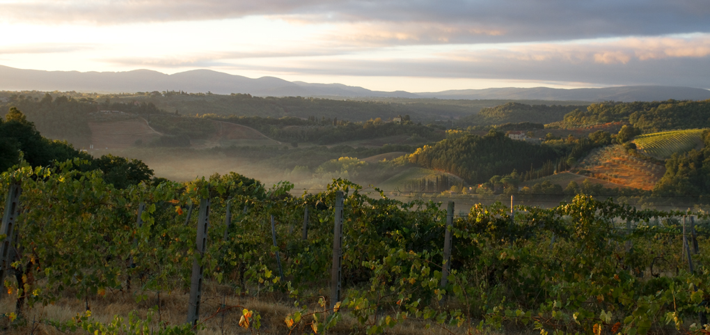 Morgenstimmung bei St Gimignano