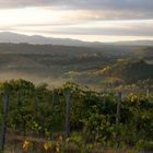 Morgenstimmung bei St Gimignano