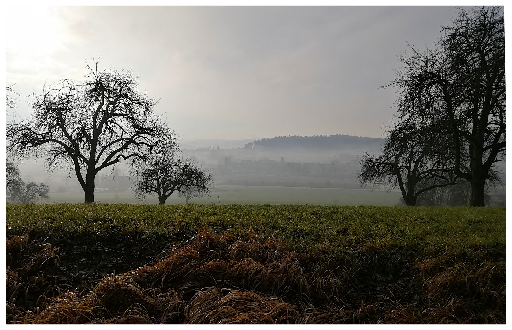 Morgenstimmung bei Stadel