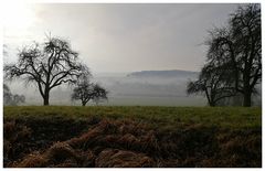 Morgenstimmung bei Stadel