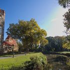 Morgenstimmung beim alten Schloss