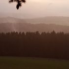 Morgenstimmung beim Ansitz zur Rotwildbrunft