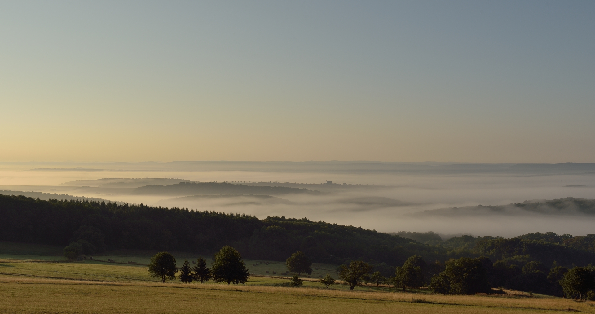 Morgenstimmung beim Pfälzer vor der Haustür.