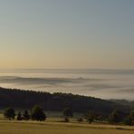 Morgenstimmung beim Pfälzer vor der Haustür.