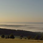 Morgenstimmung beim Pfälzer vor der Haustür.