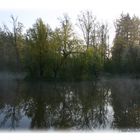 Morgenstimmung beim Seehaus bei Pforzheim