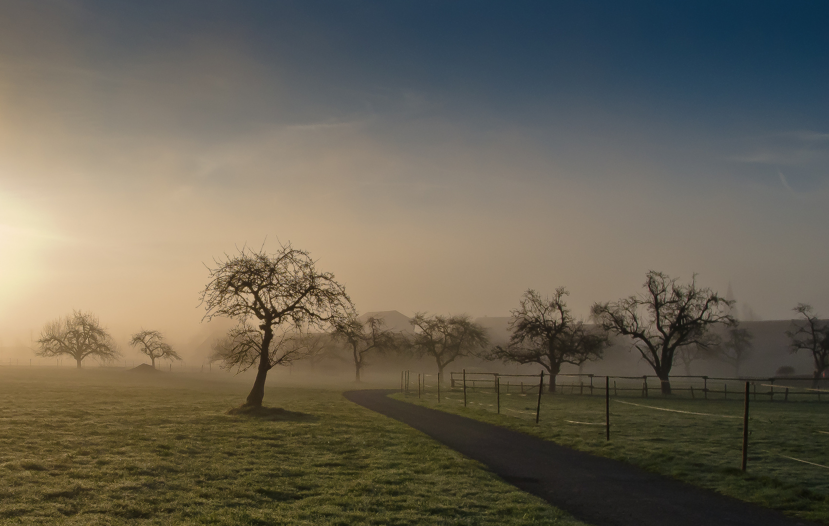 Morgenstimmung Birkenhard