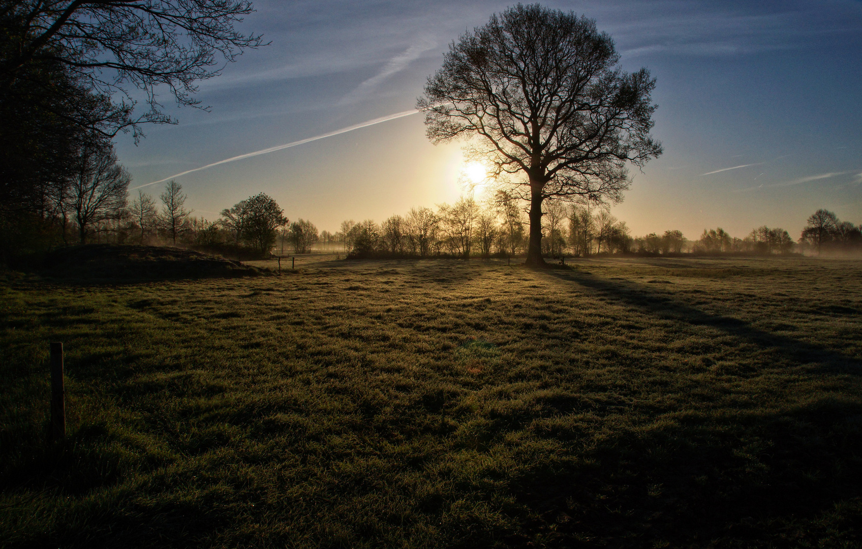 Morgenstimmung