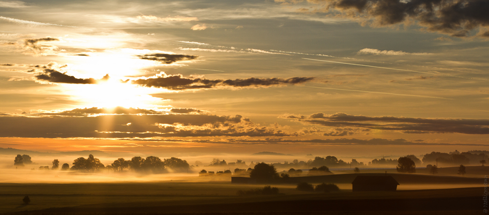 Morgenstimmung