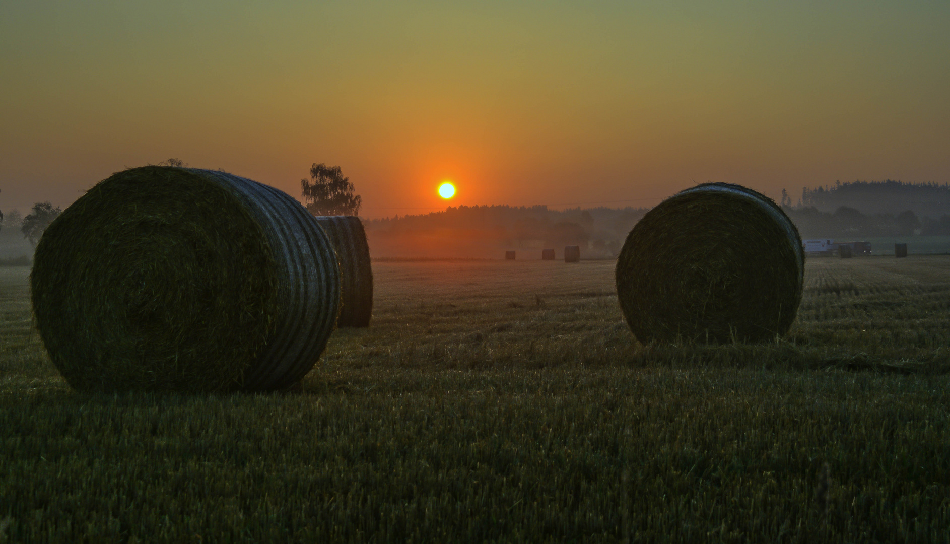 Morgenstimmung