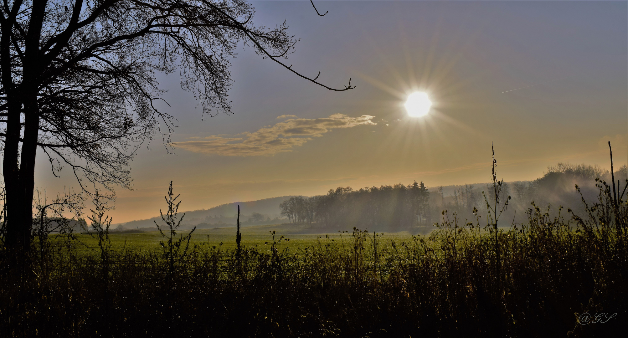 Morgenstimmung.