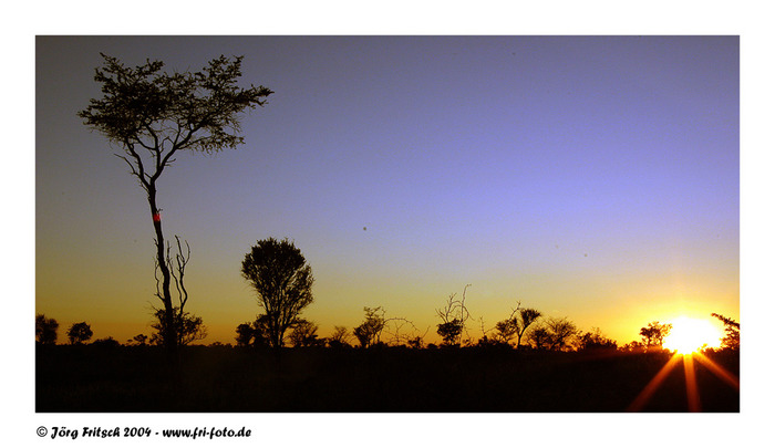 Morgenstimmung, Central Kalahari Game Reserve