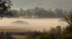 Morgenstimmung