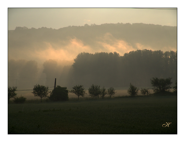 Morgenstimmung