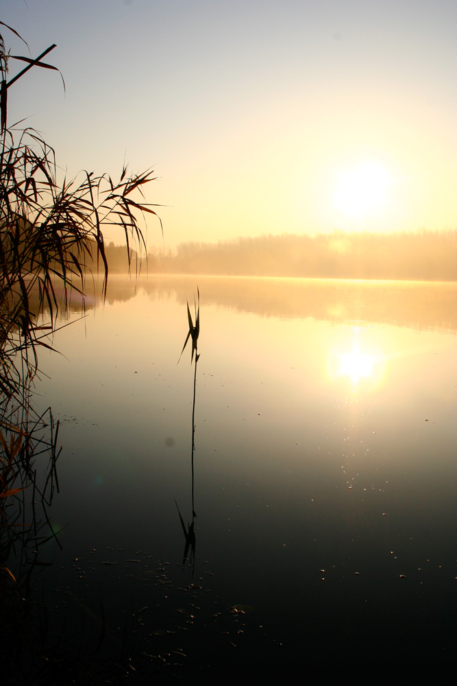 Morgenstimmung