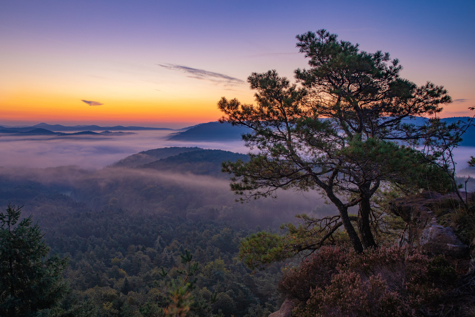 Morgenstimmung de luxe