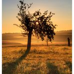 Morgenstimmung - Der Sommer geht vorüber