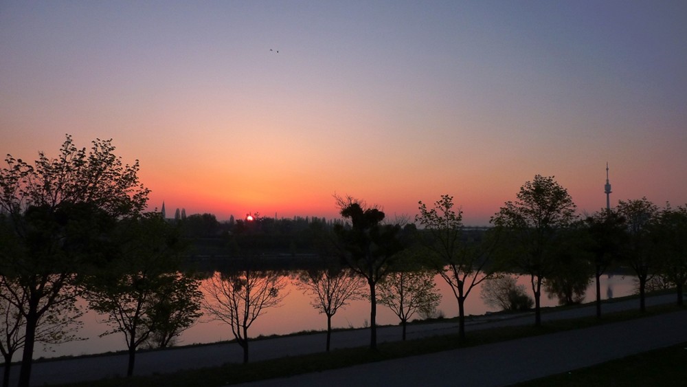 Morgenstimmung Donauinsel