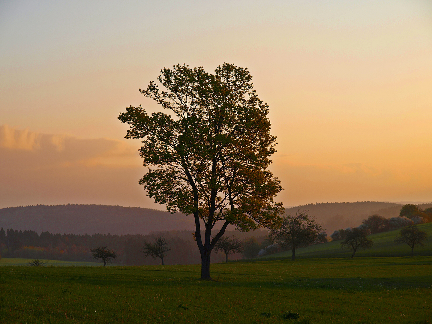 Morgenstimmung......