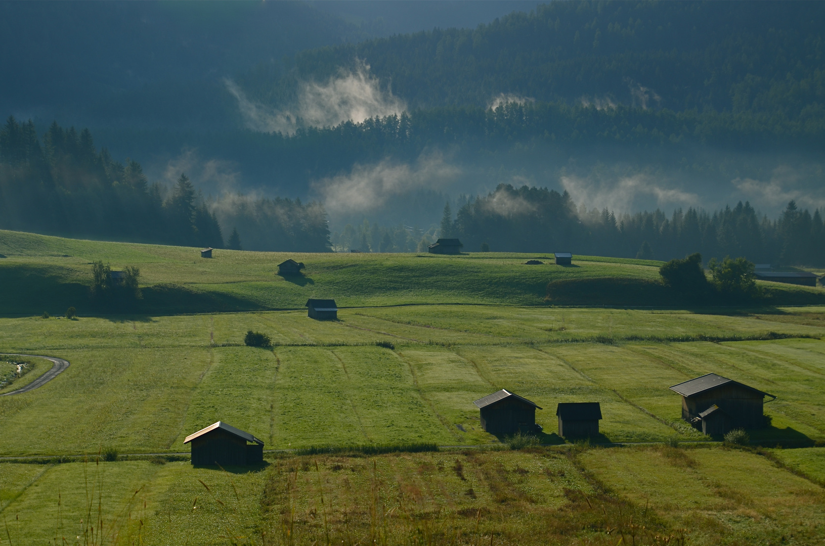 Morgenstimmung