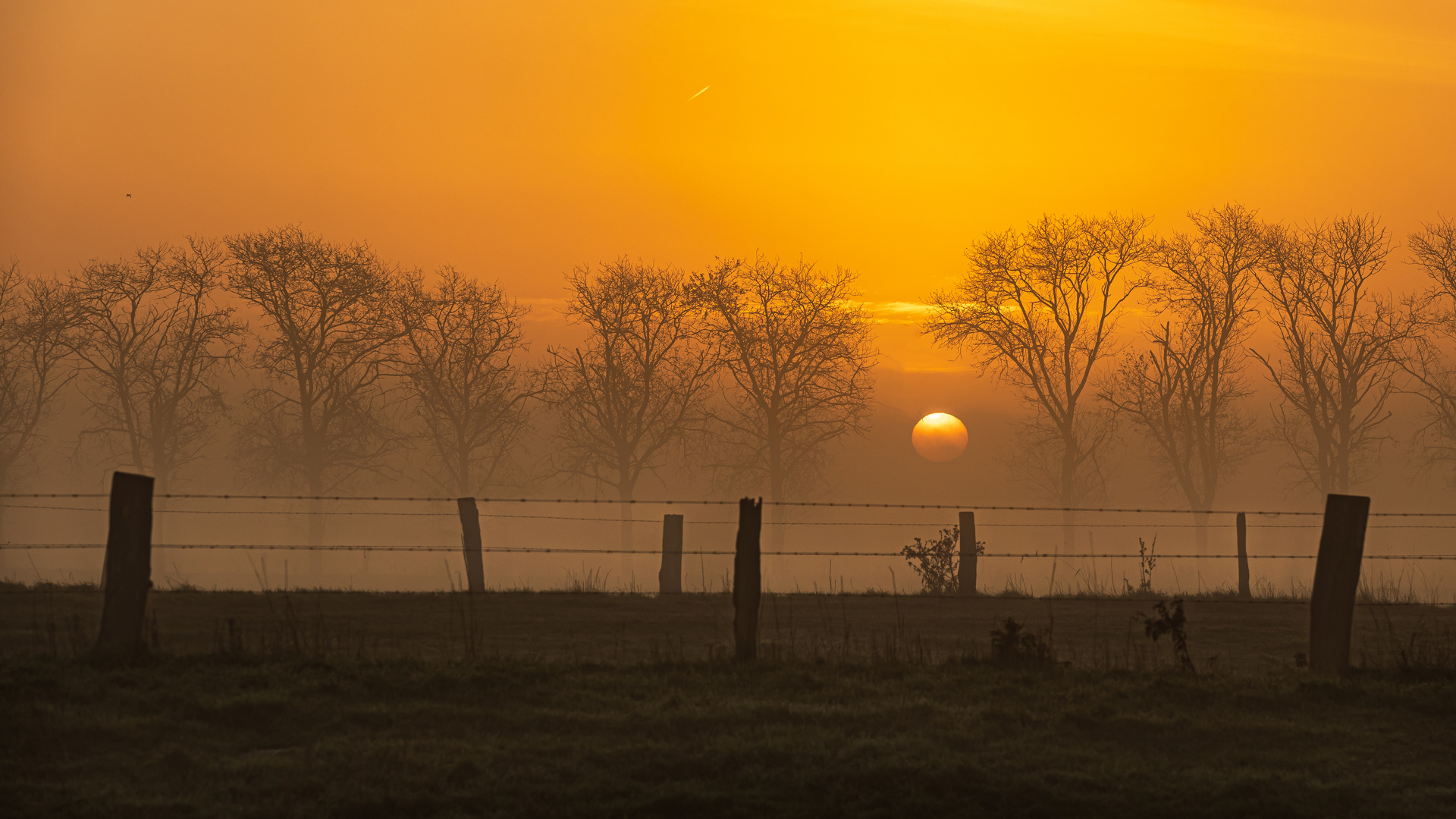 MORGENSTIMMUNG