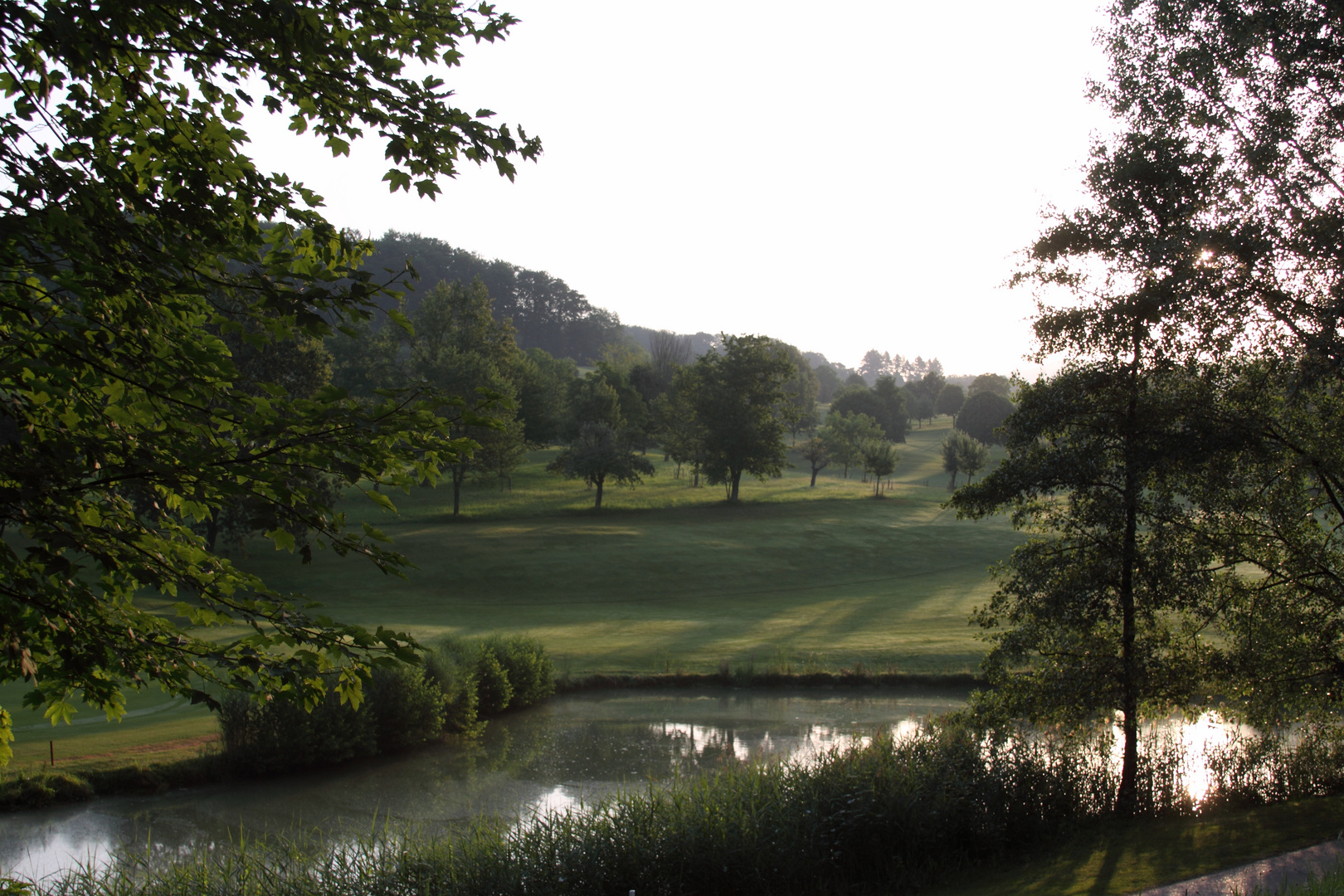 Morgenstimmung, Golfplatz Kandern