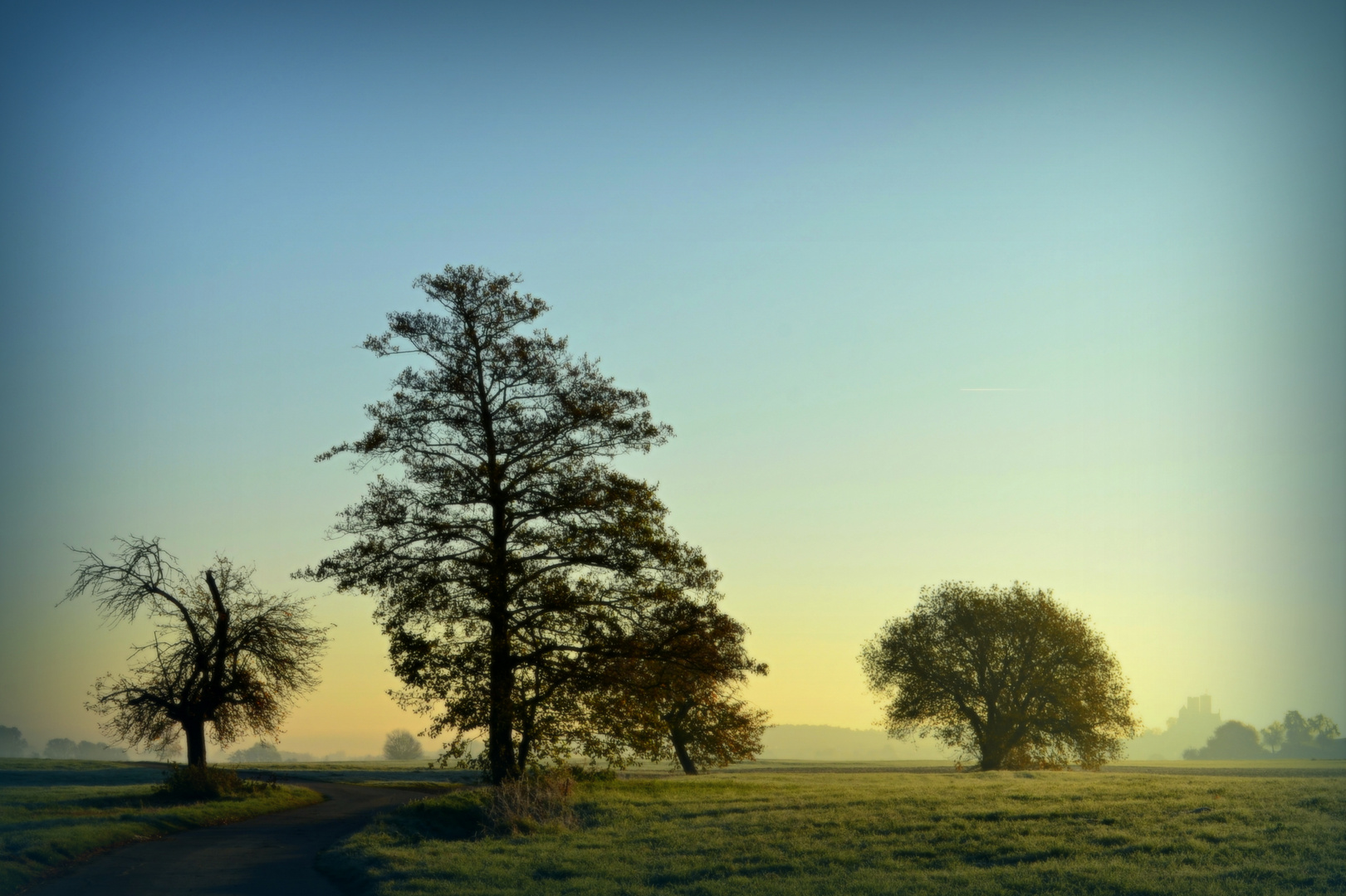 Morgenstimmung-Harmonie