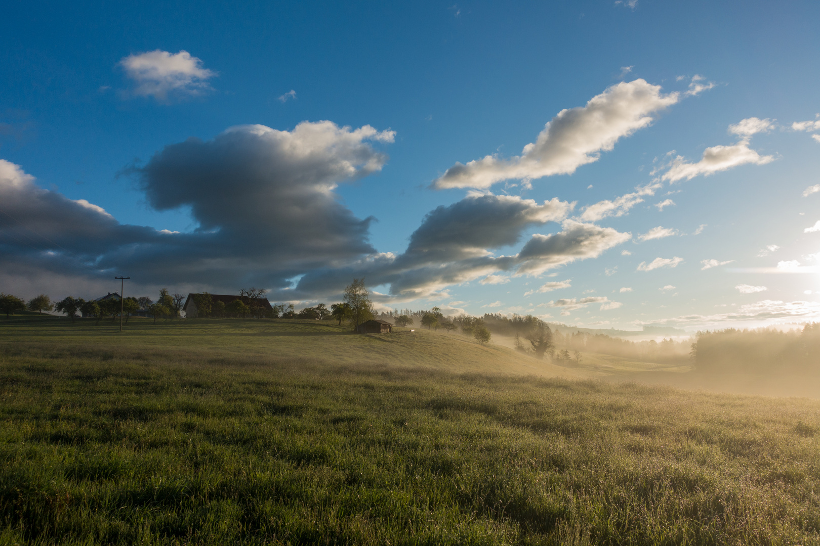 Morgenstimmung im Allgäu 