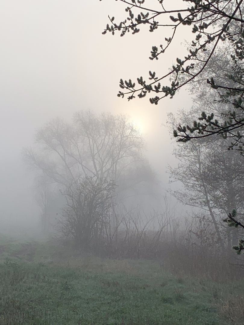 Morgenstimmung im April 2