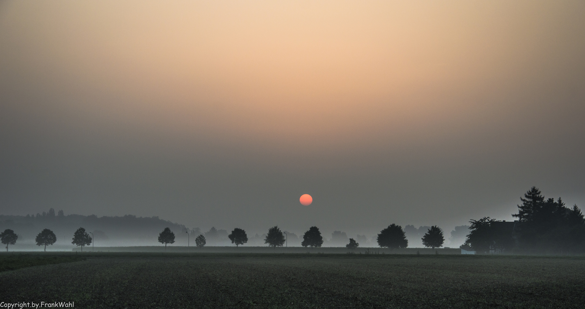 Morgenstimmung im August