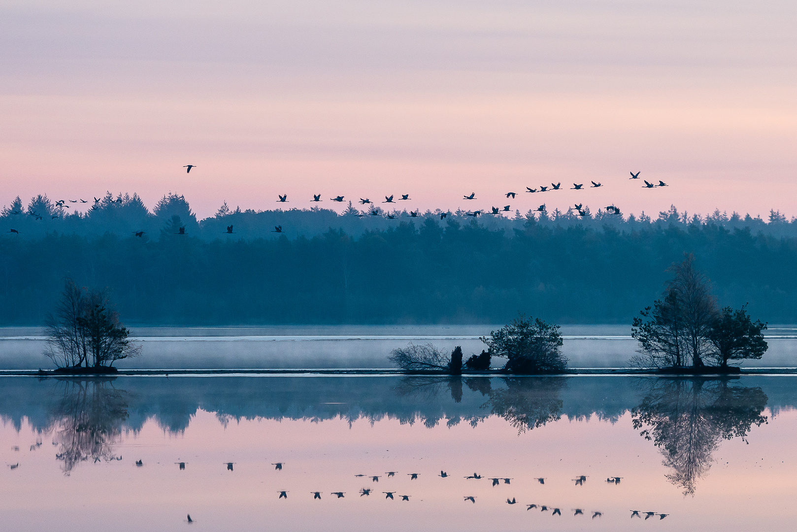 Morgenstimmung im Bauernmoor