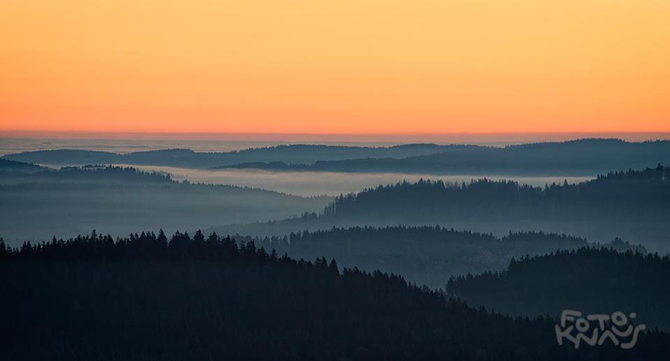 Morgenstimmung im Bayerischen Wald