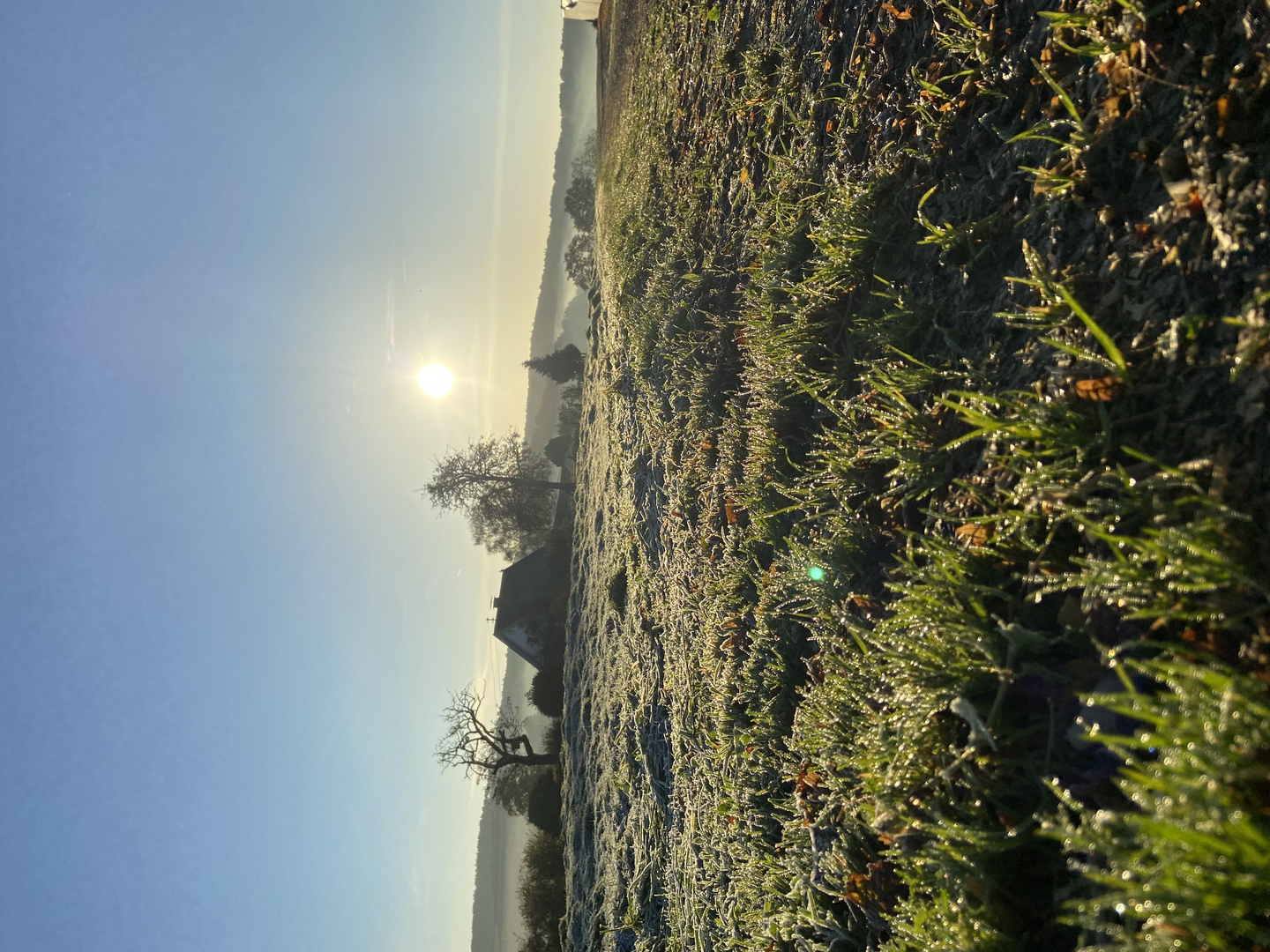 Morgenstimmung im Bergischen 