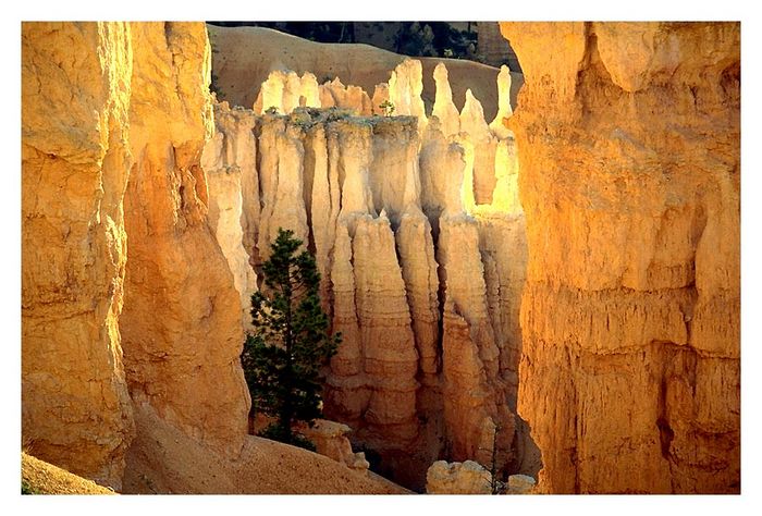 Morgenstimmung im Bryce Canyon