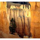 Morgenstimmung im Bryce Canyon