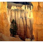 Morgenstimmung im Bryce Canyon