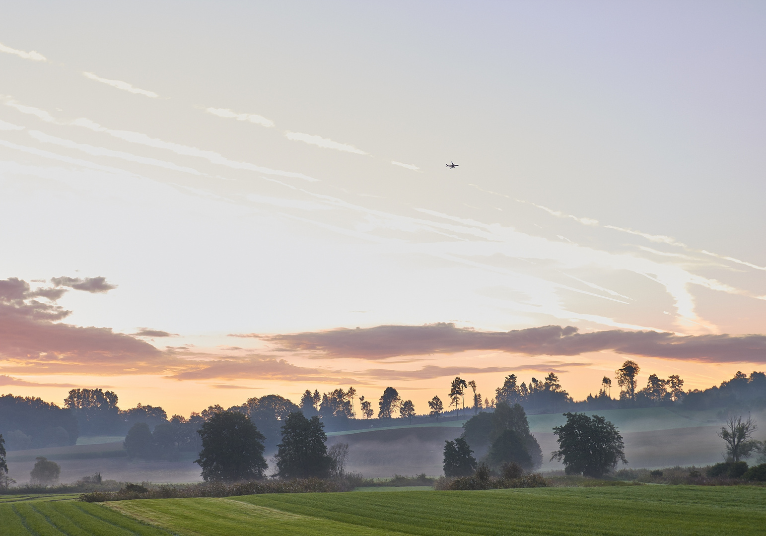 Morgenstimmung im Dachauer Moos