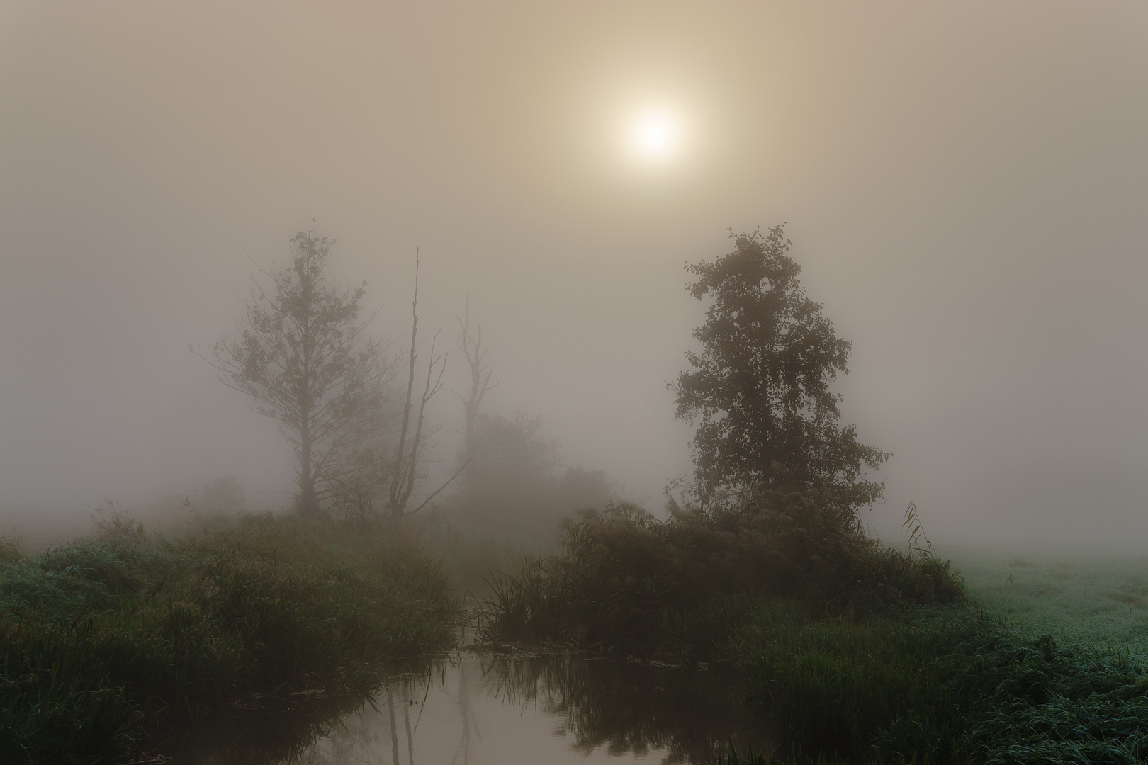 Morgenstimmung im Dammer Moor