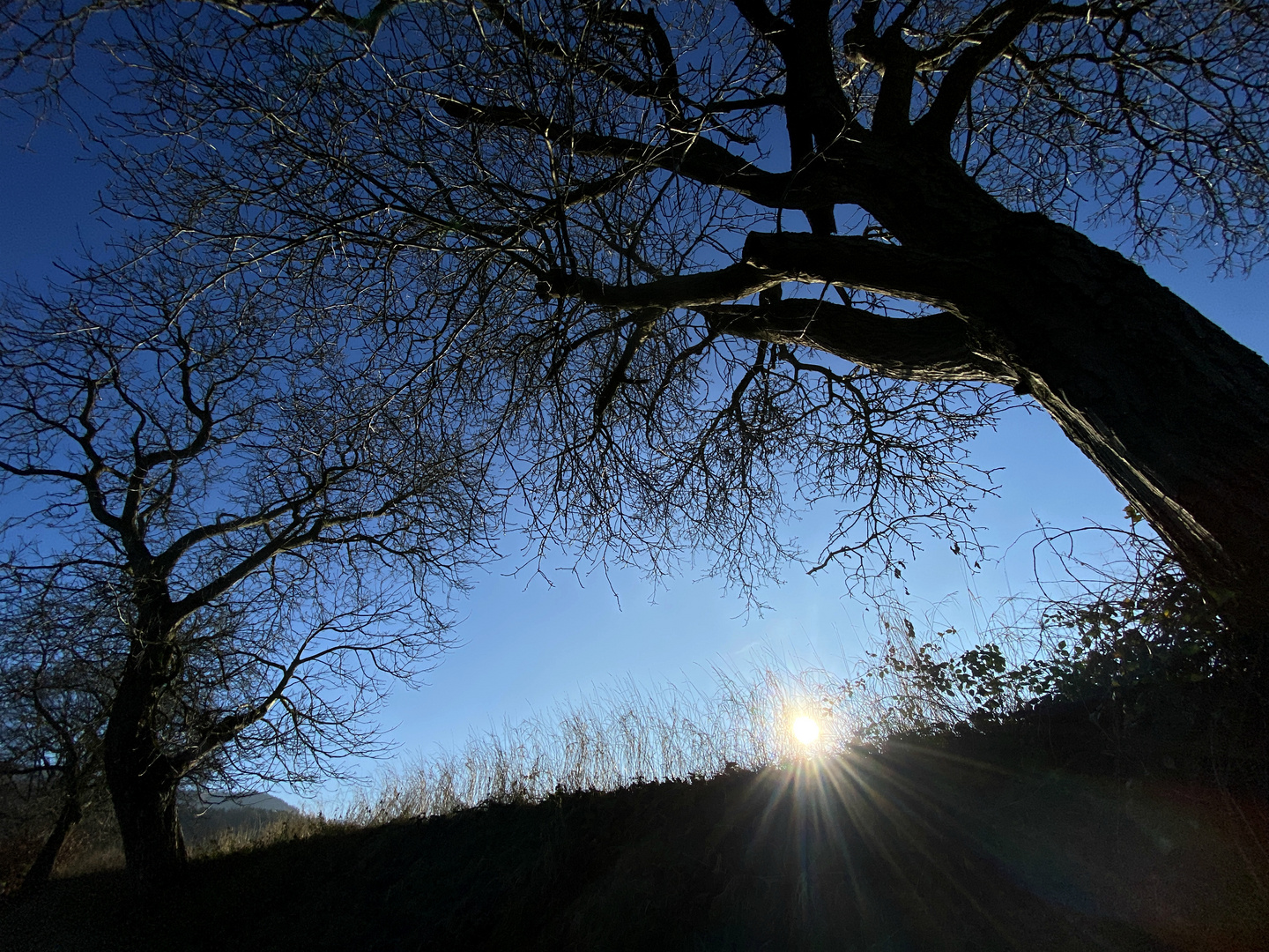 Morgenstimmung im Dezember.