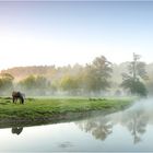 Morgenstimmung im Diemeltal