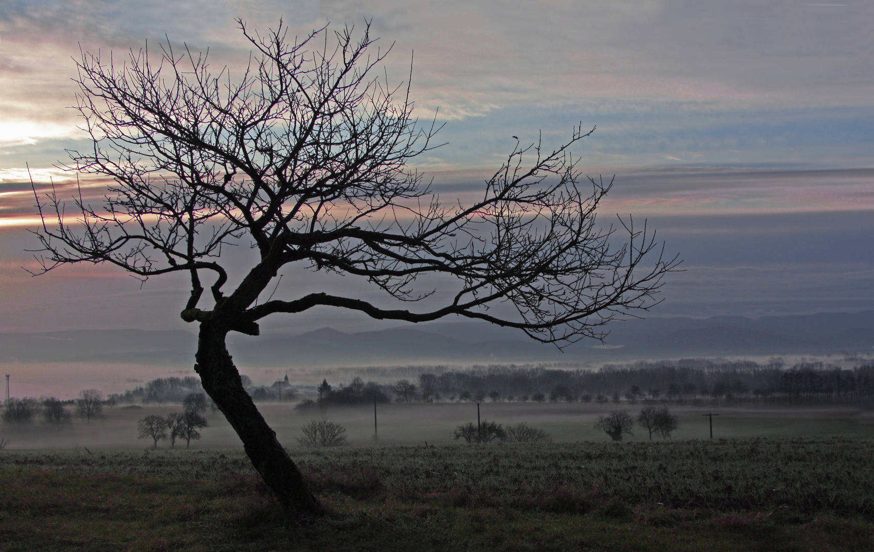 Morgenstimmung im Elsass